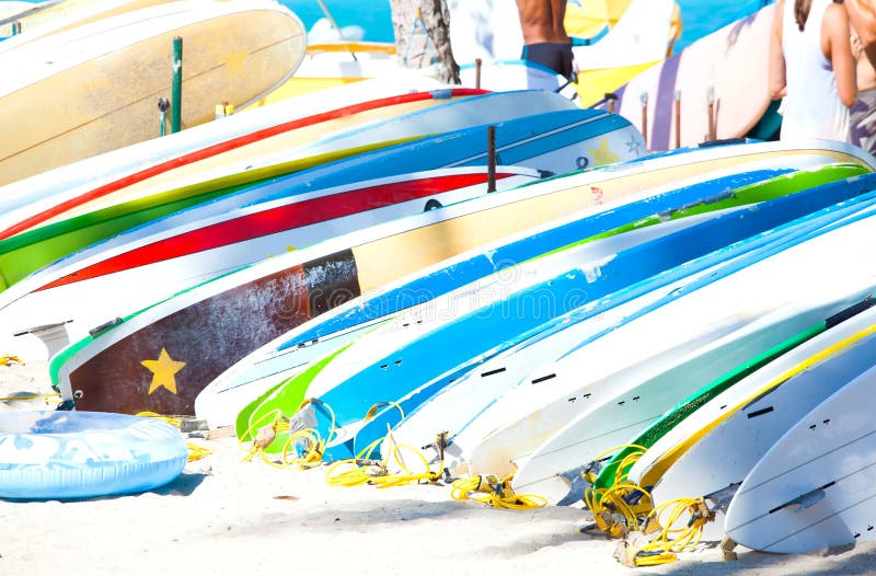 Row of Surfboards Lined Up on Sandy Beach in Hawaii Stock Image Image
