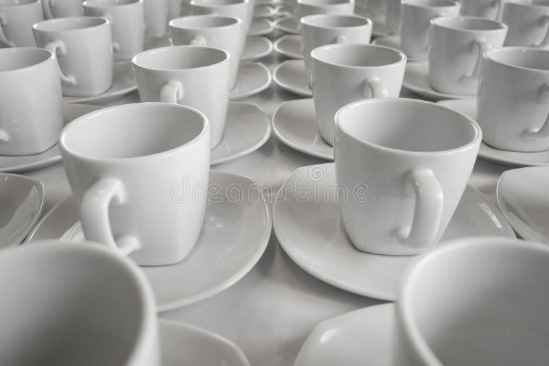 Row of cup for Business Seminar