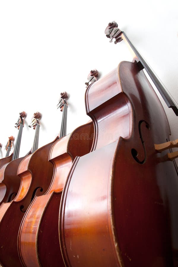 Row Double Basses Against Wall Stock Photos Free & RoyaltyFree Stock