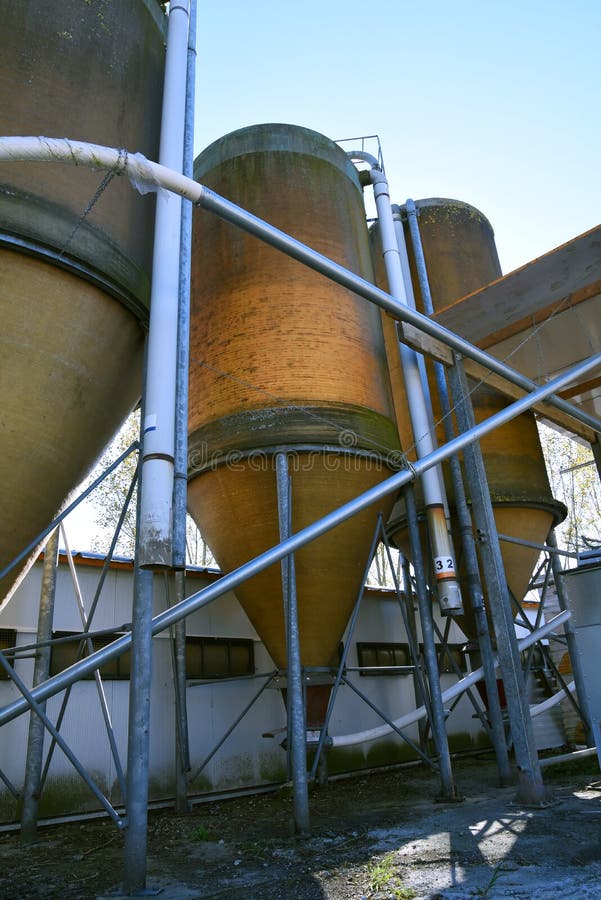 A Row of Feed Silos for the Storage of Animal Feed Stock Photo Image of gravity, cows 247181930