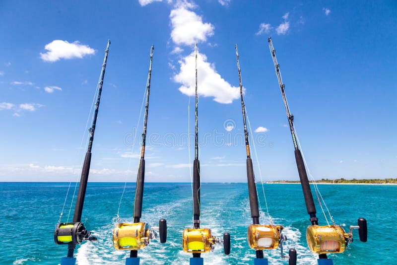 13,714 Fishing Deep Sea Stock Photos - Free & Royalty-Free Stock Photos  from Dreamstime