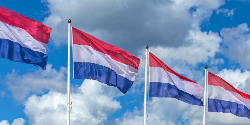 Row of four Dutch national flags royalty free stock image