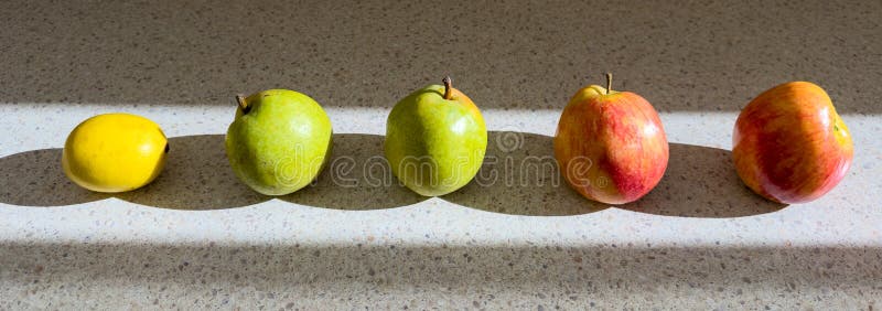 Row Of Fruit High Contrast stock image