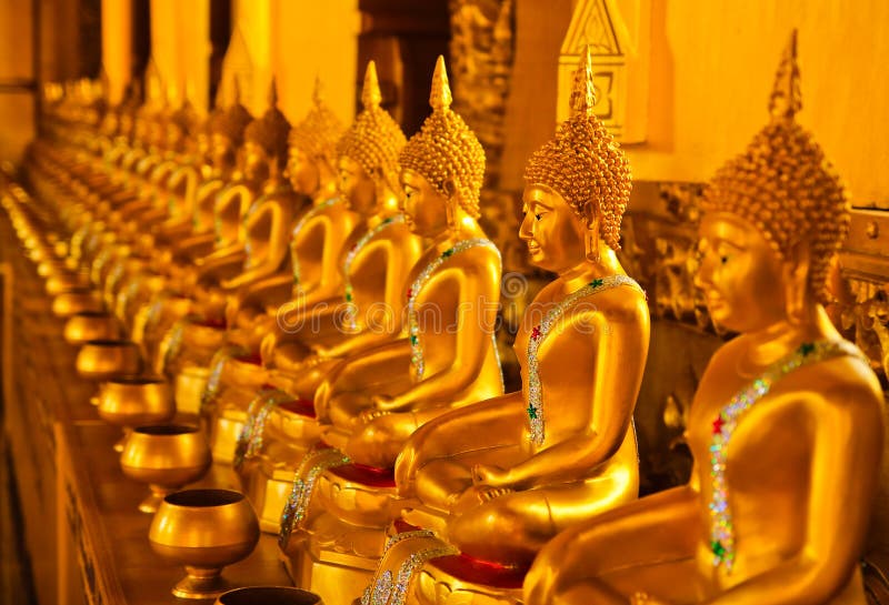 Row of golden buddha statue