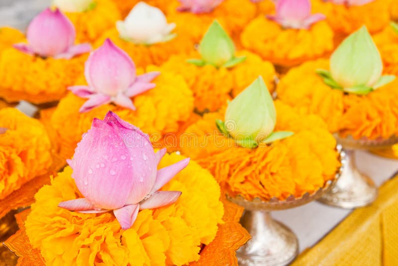 Row of lotus and yellow flower garlands on tray