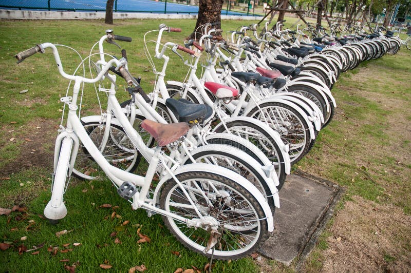 A row of rental bikes.