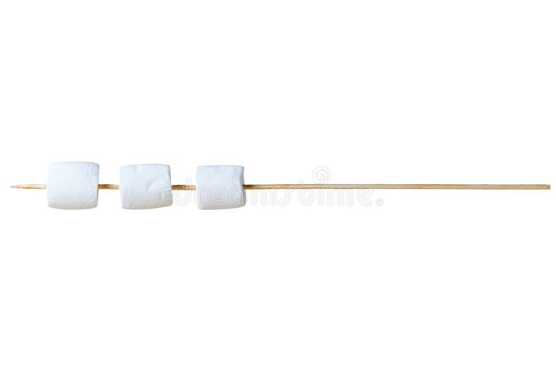 Row of three pieces of raw sweet tasty marshmallows cylindrical form on sharp wooden stick for barbeque isolated on white