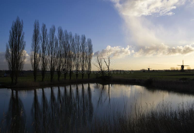 Row of trees near Uppel royalty free stock images Row of trees near Uppel royalty free stock images