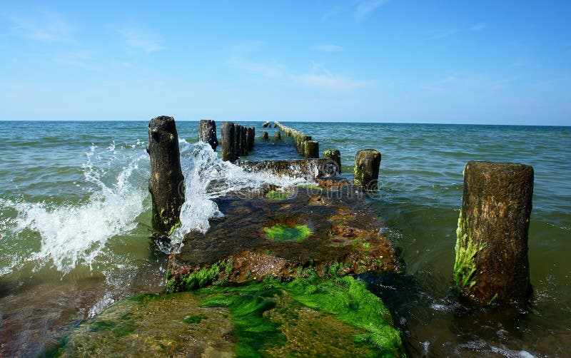 Row of wooden poles in the sea.