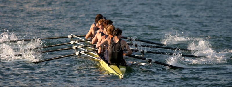 Rowers in action