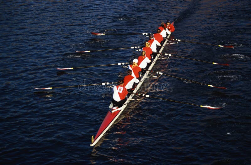 Rowers in Head of the Charles Regatta, Cambridge