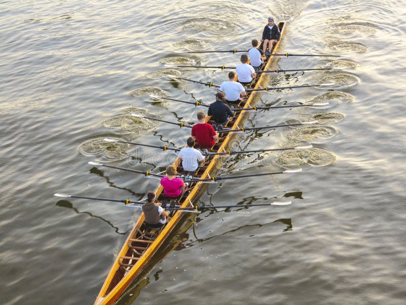 Rowers training on the river