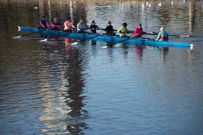 Rowers γυναικών στην κατάρτιση για το regatta σε Stratford επάνω σε Avon στοκ εικόνες Rowers γυναικών στην κατάρτιση για το regatta σε Stratford επάνω σε Avon στοκ εικόνες