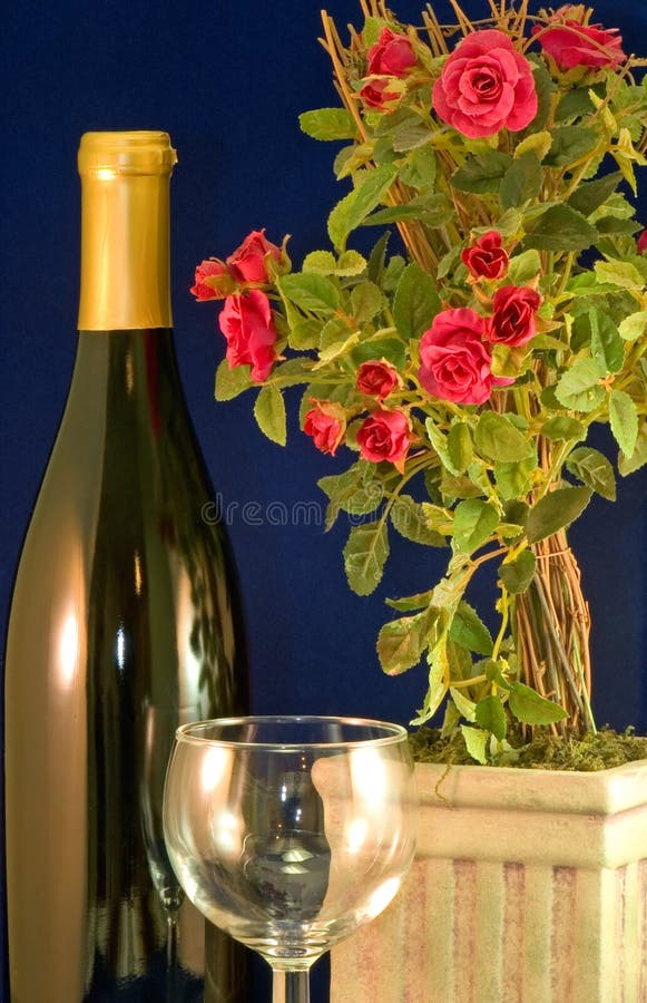 rowine royaltyfri bild rowine royaltyfri bild