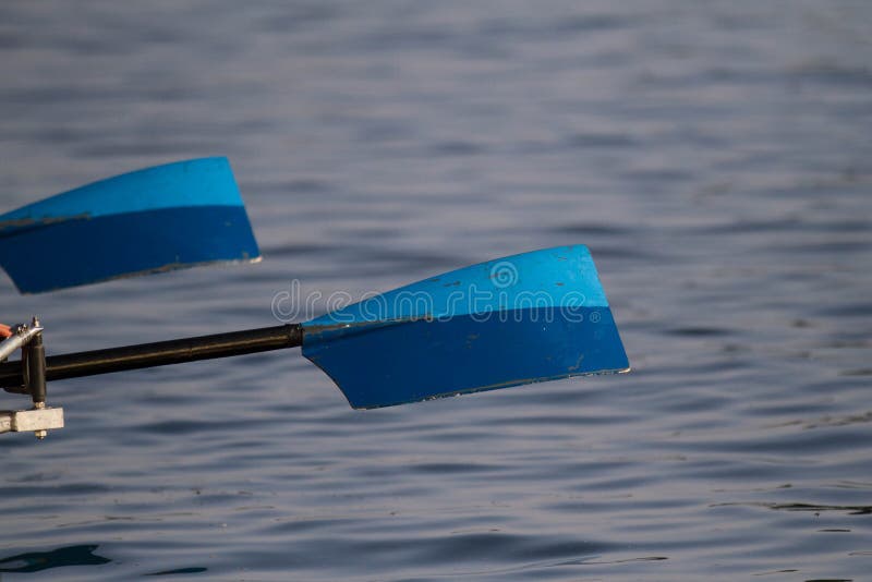 Rowing oars stock photo. Image of athlete, lake, blade 32287540
