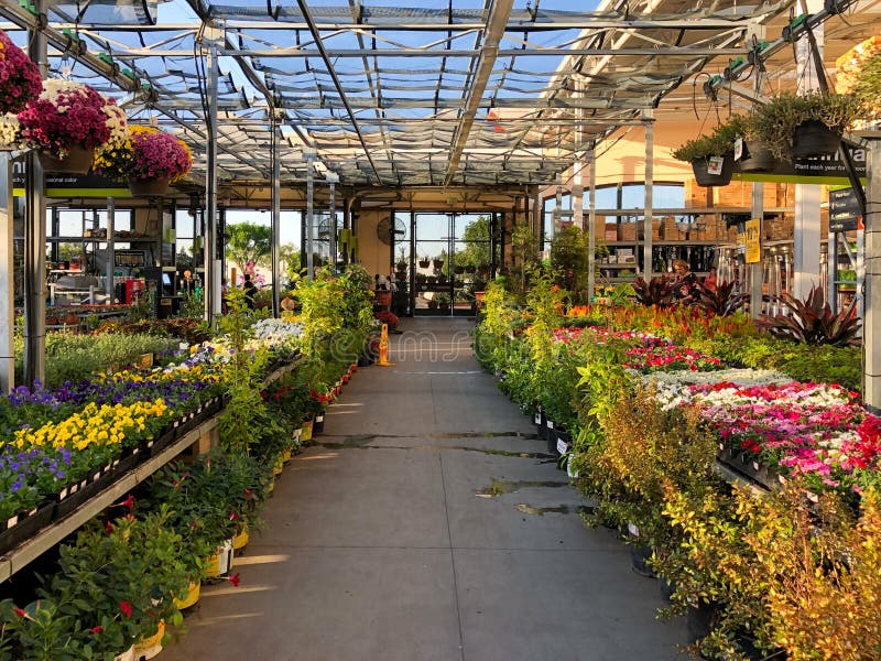 162 Home Depot Garden Center Photos Free Royalty Free Stock Photos From Dreamstime