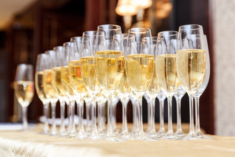 Rows of full champagne or sparkling wine glasses. Catering service concept