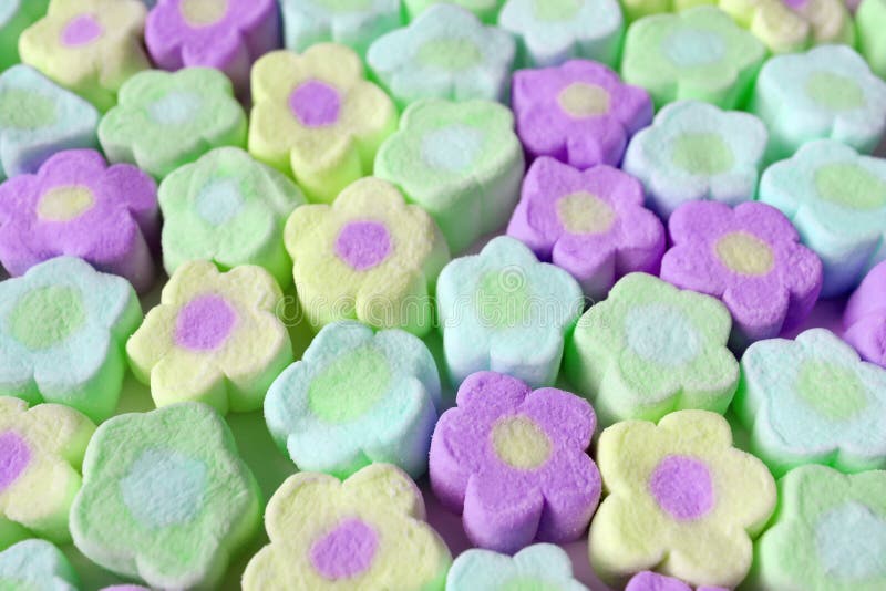 Rows of Pastel Colored Flower Shaped Marshmallow Candies for Backdrop