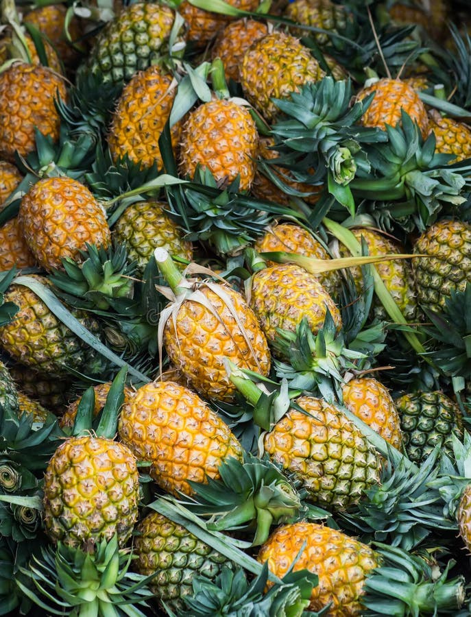 Rows of Pineapples on the Fruit Counter in Thailand. Stock Image