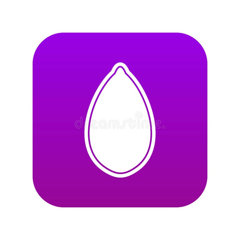 Roxo digital do ícone da semente de abóbora ilustração royalty free Roxo digital do ícone da semente de abóbora ilustração royalty free