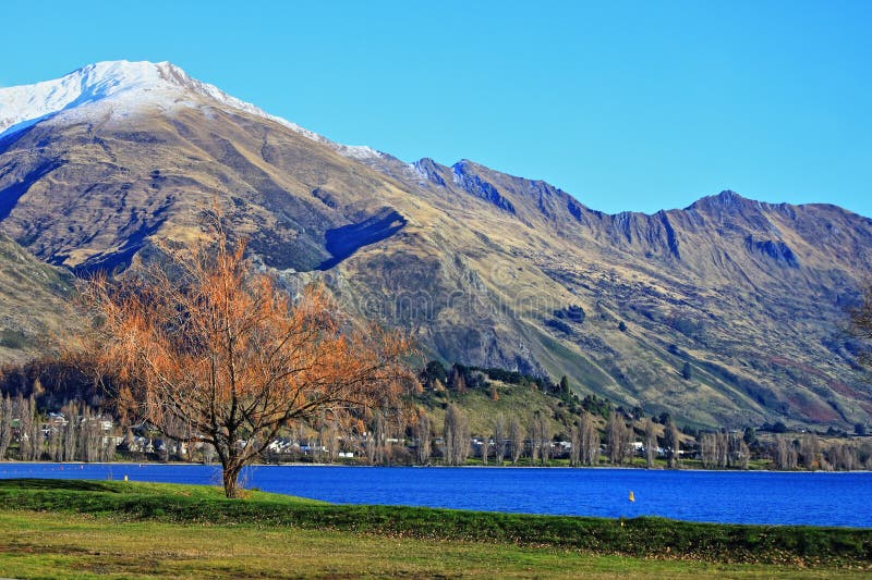 Roy Szczytowy Wanaka I Wanaka jeziora park zdjęcia royalty free Roy Szczytowy Wanaka I Wanaka jeziora park zdjęcia royalty free