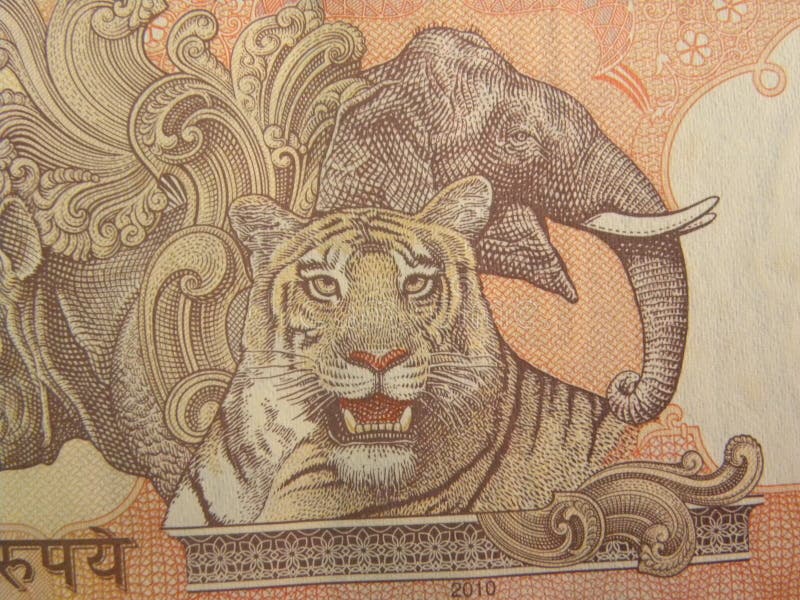 Bengal Tiger (a note)