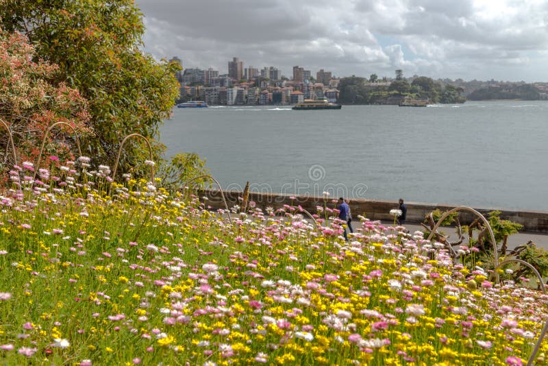 Royal Botanic Gardens Winter, Sydney Australia Stock Photo Image of