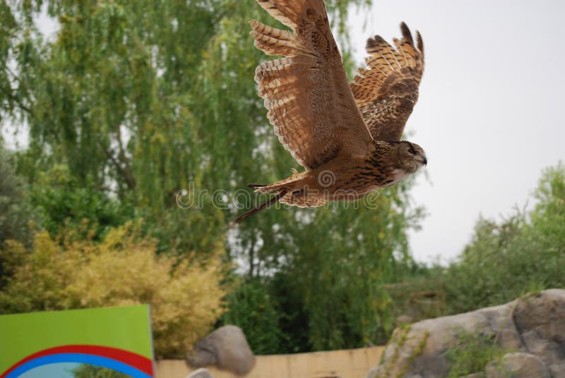 ikana canyon owl statue ikana canyon owl statue