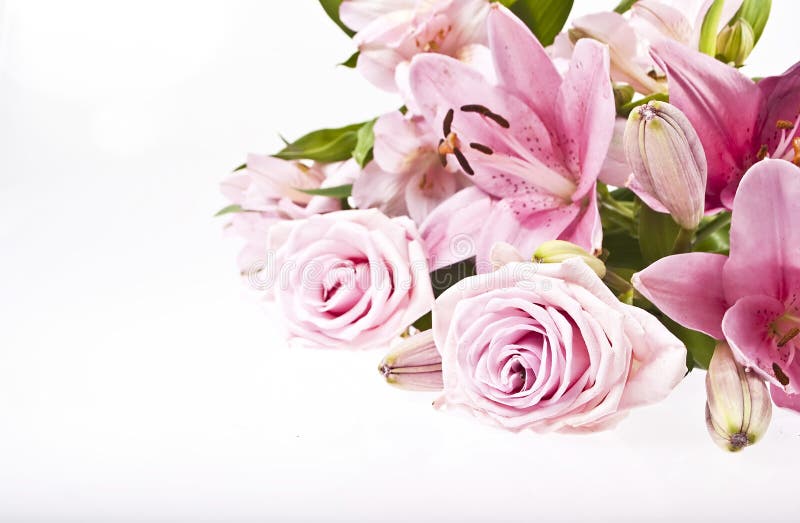 A bunch of pink flowers in asymmetric composition on white background suited for your text here. A bunch of pink flowers in asymmetric composition on white background suited for your text here