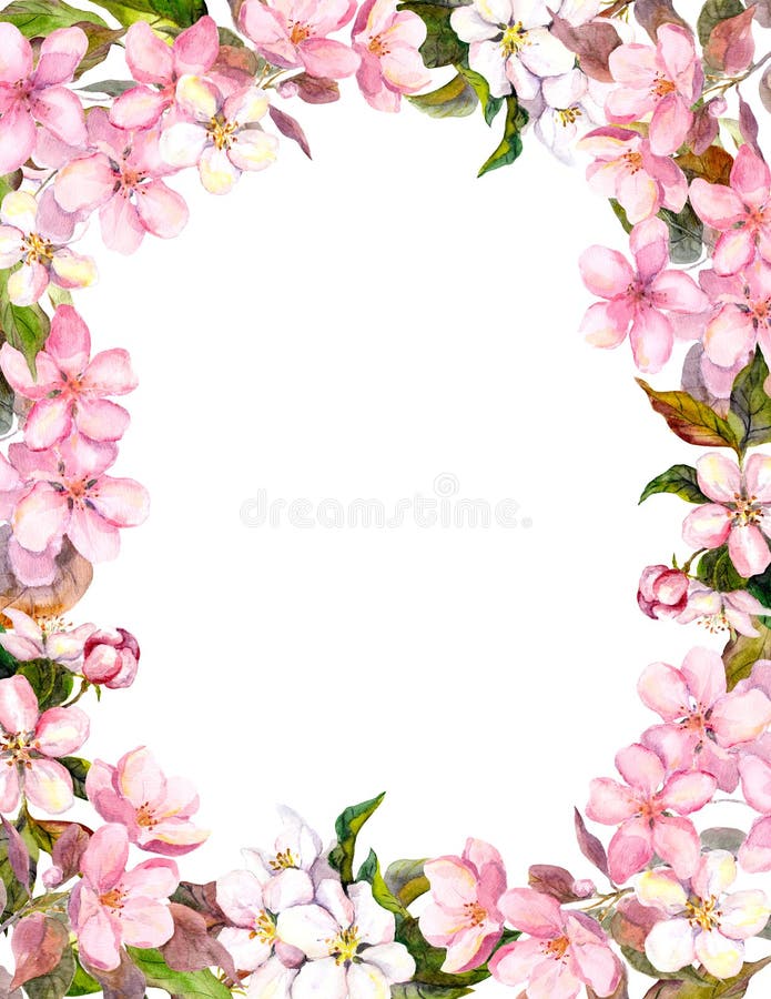 Roze bloemen - appel, kersenbloesem Bloemengrens voor sjofele achtergrond watercolor vector illustratie Roze bloemen - appel, kersenbloesem Bloemengrens voor sjofele achtergrond watercolor vector illustratie