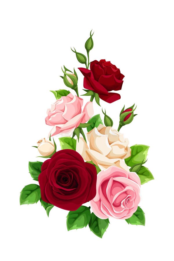 Roze, bordeauxrode en witte rozen. Vectorillustratie vector illustratie