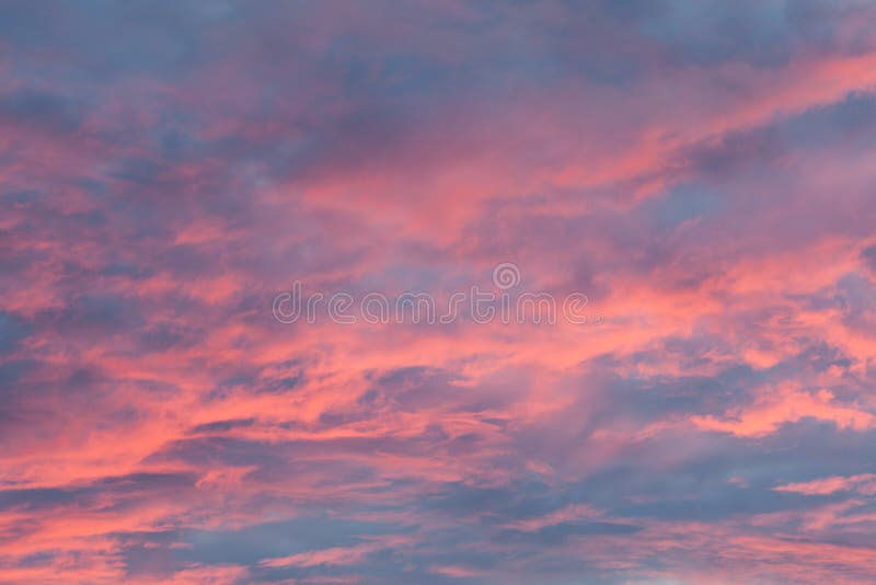 Roze Cloudscape