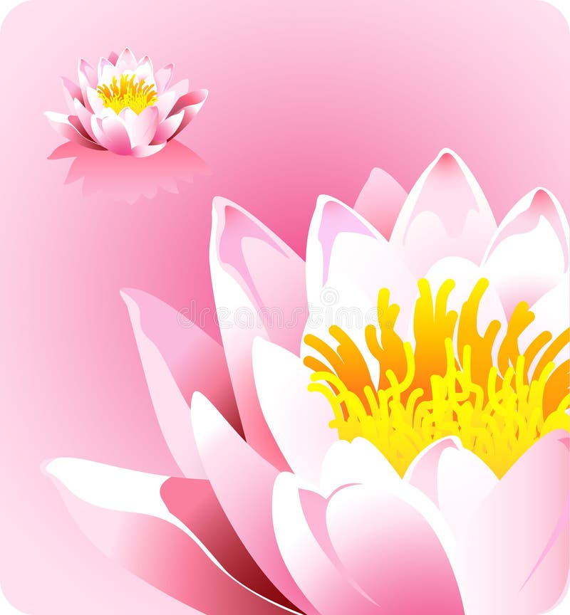Roze lotusbloembloem - krachten van aardthema