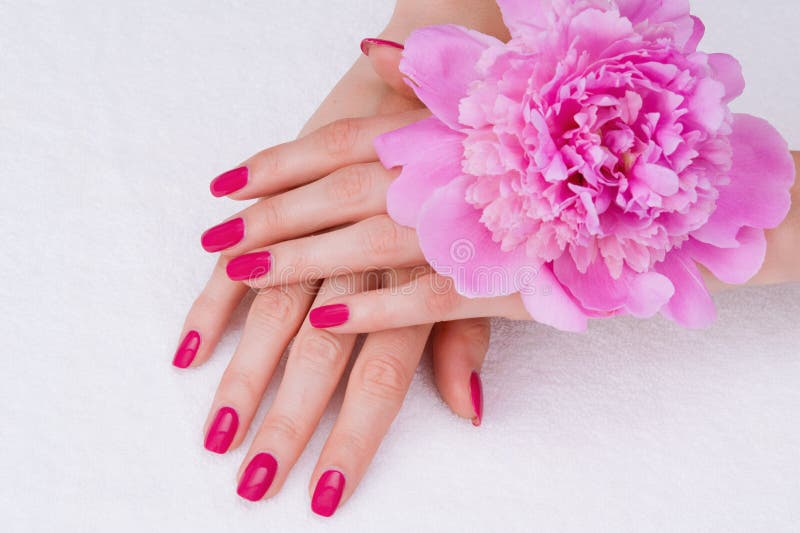 Roze manicure en een bloem royalty-vrije stock fotografie