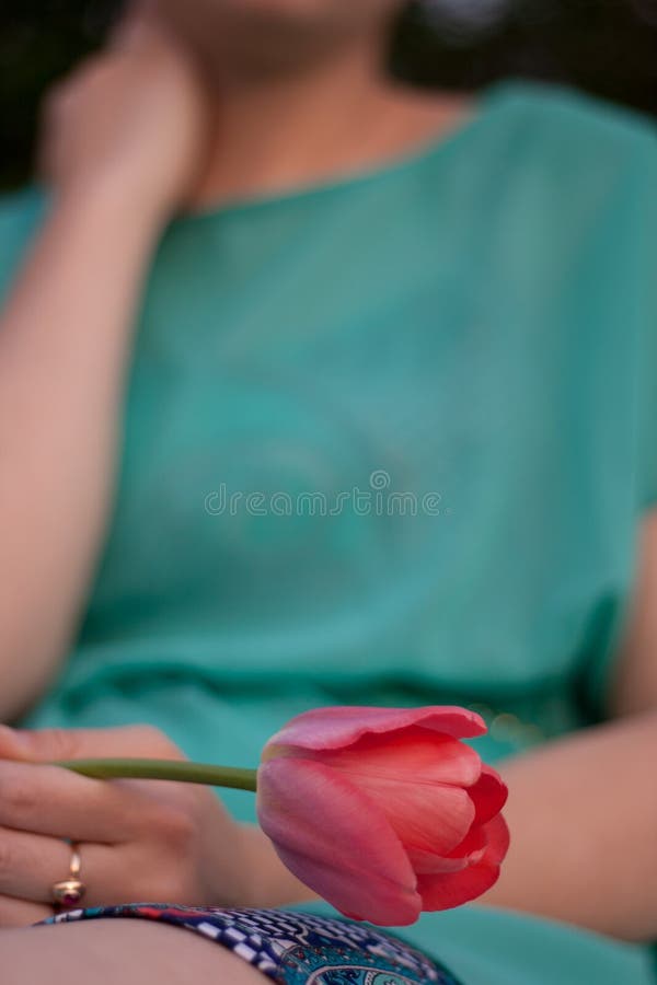 Roze tulp in de linkervrouwenhand Zittend jong meisje die in groene kleding een bloem houden Wijfje die korte rok en groene kledi royalty-vrije stock afbeeldingen Roze tulp in de linkervrouwenhand Zittend jong meisje die in groene kleding een bloem houden Wijfje die korte rok en groene kledi royalty-vrije stock afbeeldingen
