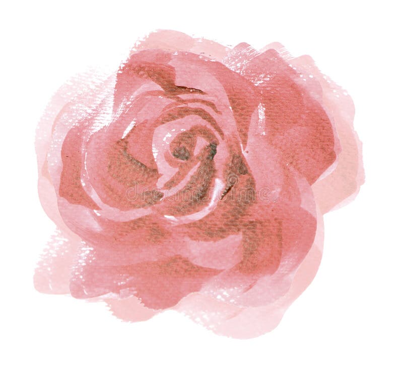 Roze van de het Huwelijksuitnodiging van de rozen watercolour Uitstekende stijl roze ros stock illustratie Roze van de het Huwelijksuitnodiging van de rozen watercolour Uitstekende stijl roze ros stock illustratie