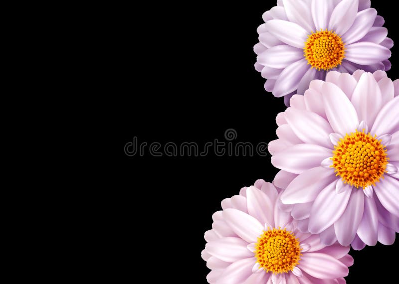 Roze vectordiebloemen op zwarte achtergrond worden geïsoleerd Element voor a stock illustratie Roze vectordiebloemen op zwarte achtergrond worden geïsoleerd Element voor a stock illustratie