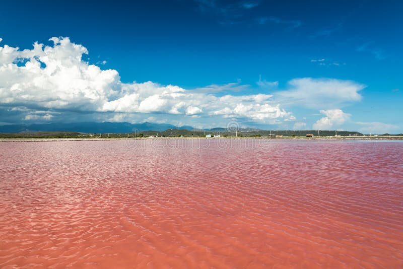 Roze Water Zout Meer in Dominicaanse Republiek Stock Foto Image of meer, dominicaans: 62698578