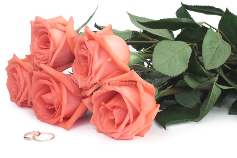 Roses and wedding rings on a white background. Roses and wedding rings on a white background