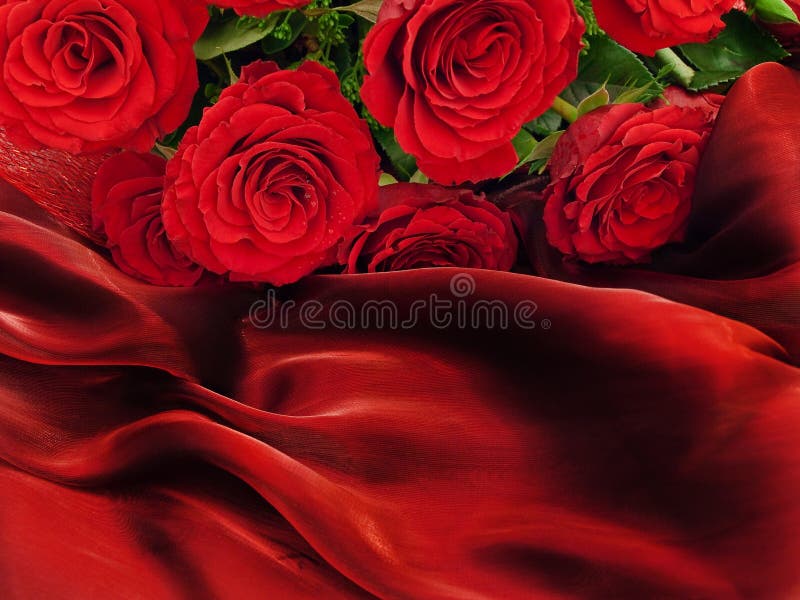 Red beautiful roses on a red silk fabric. Red beautiful roses on a red silk fabric