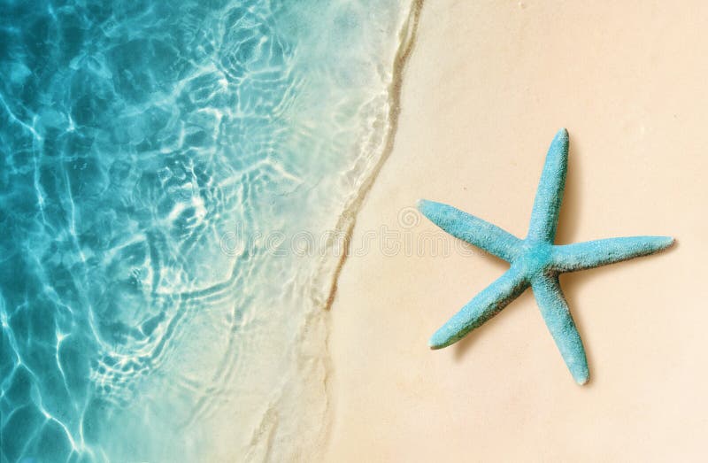 Rozgwiazda na piasek plaży i ocean jako tło plażowej brzegowej cibory śródziemnomorska piaska kamieni lato kipiel