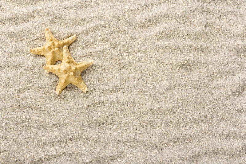 Rozgwiazda w plażowym piasku z kopii lub teksta przestrzenią