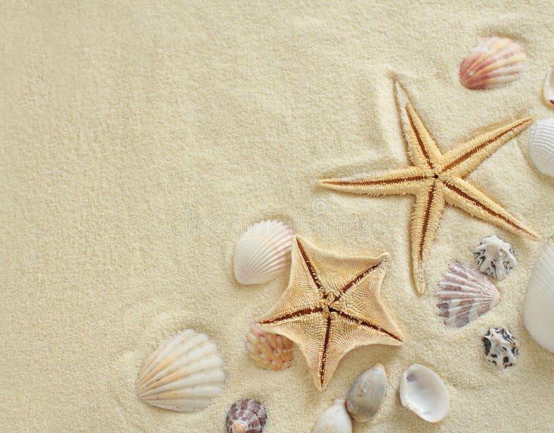 Starfish with shells on the Beach. Vacation memories from beach. Starfish with shells on the Beach. Vacation memories from beach.