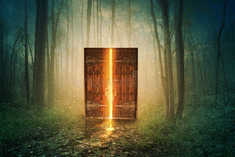 Rozjarzony drzwi w lesie