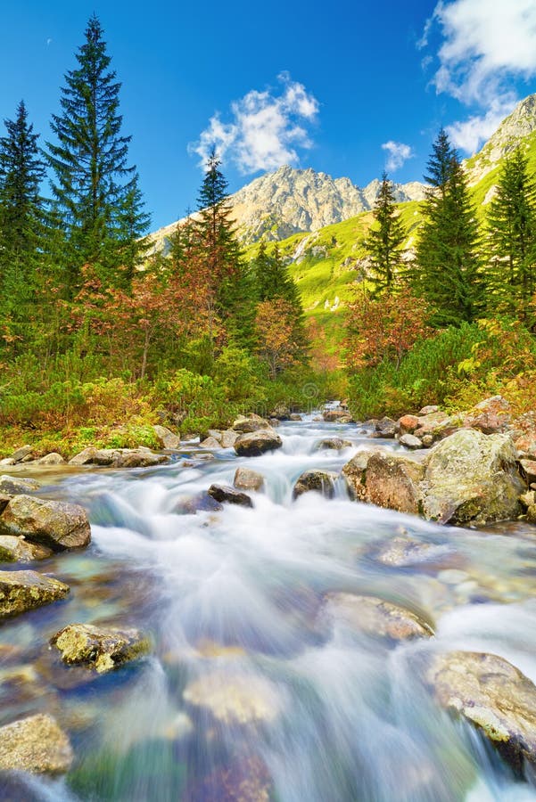 Stream High Mountains Tatras Carpathians landscape water