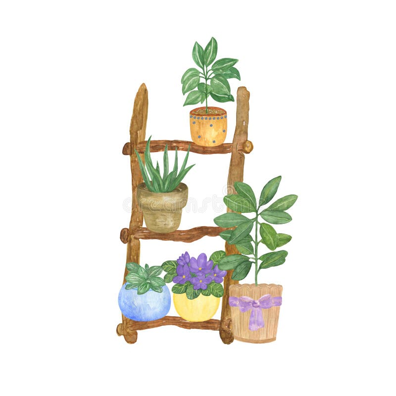 Rośliny domowe o barwie wodnej na drabince drewnianej ręcznie rysowanej ilustracji roślin domowych ficus aloe vera violet cactus ilustracji