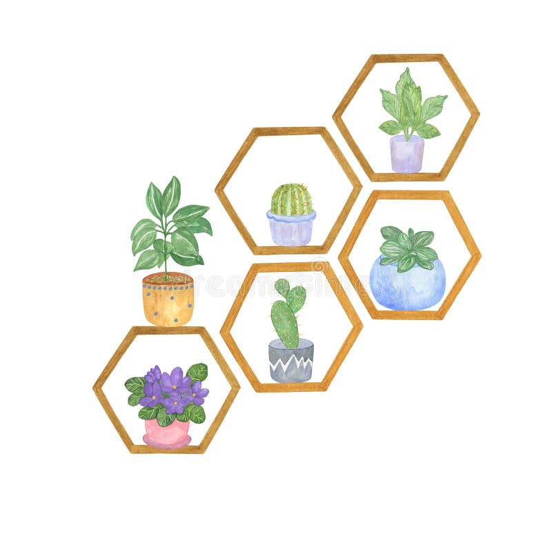 Rośliny domowe w drewnianych, sześciokątnych ramkach ręcznie narysowane ilustracje ficus violet cactus na białym royalty ilustracja