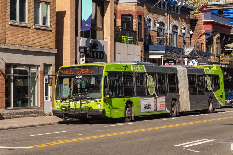 425 Bus Quebec Photos Free Royalty Free Stock Photos From Dreamstime