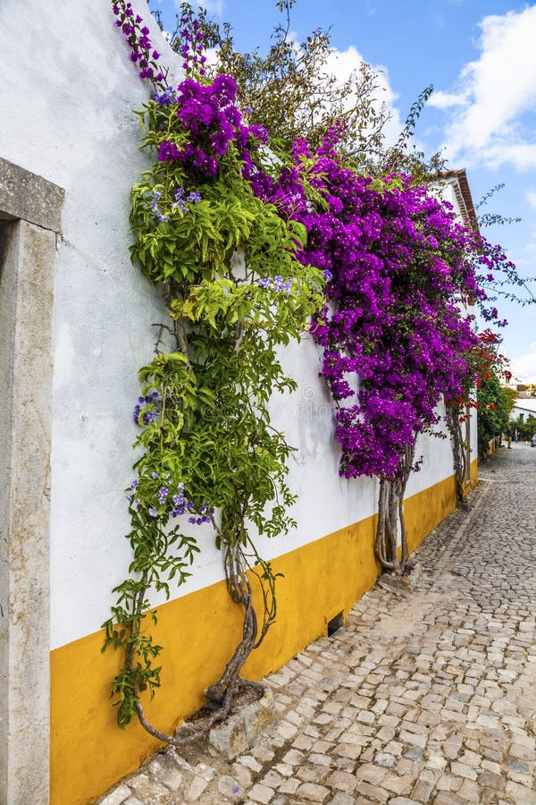 Rua da flor, Obidos, Portugal foto de stock royalty free Rua da flor, Obidos, Portugal foto de stock royalty free