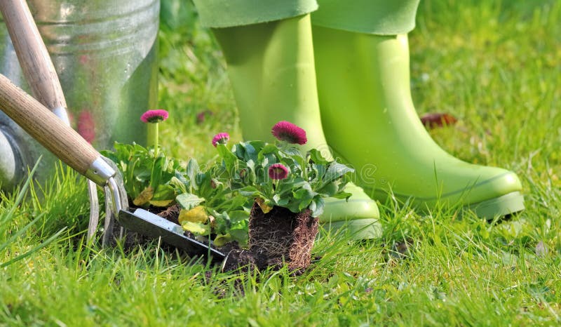 rubber boots for gardening